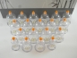 Preview: Schröpfglas-Set 19 teilig