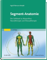 Segment-Anatomie