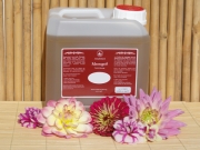 Ayurveda Massageöl Neroli 2.5 Liter